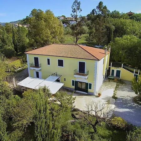 Lamione Da Dorotea