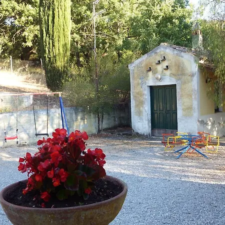 Lamione Da Dorotea 2*
